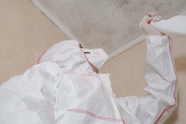 Best Mold Testing and Inspection Services in Minden, LA